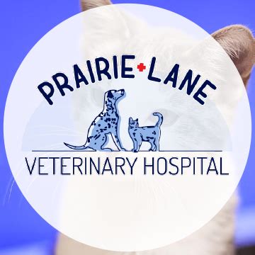 prairie lane veterinary hospital|Prairie Lane Veterinary Hospital, Omaha, NE .